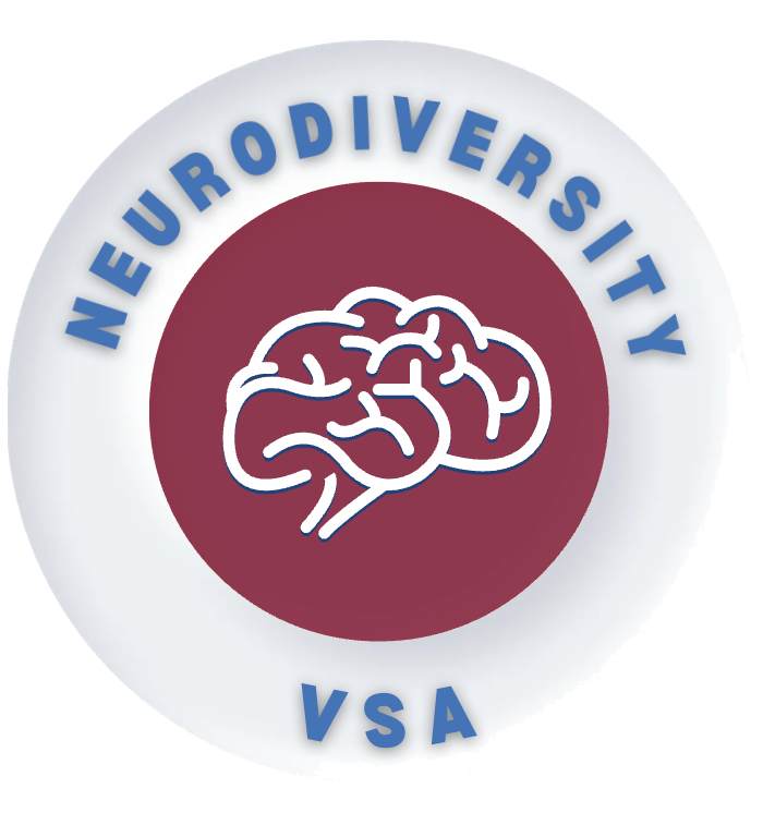 VSA logo